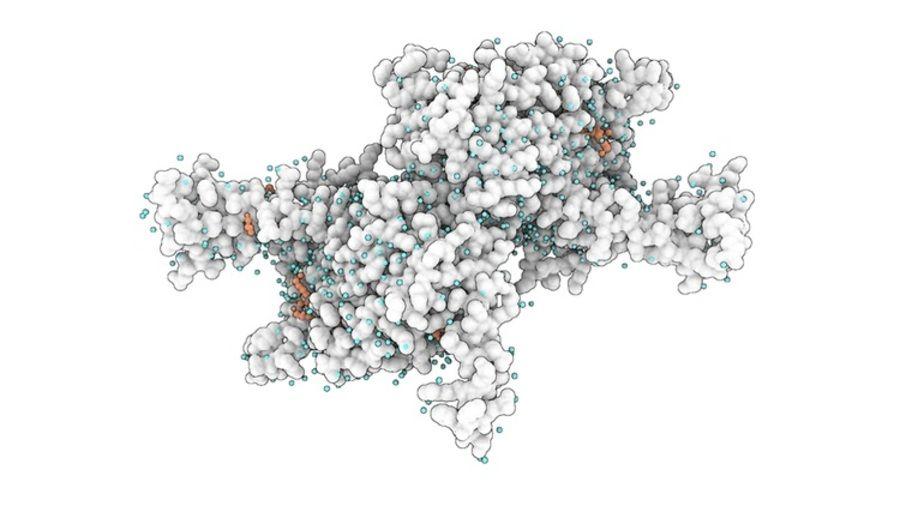 Un consortium français lauréat du programme Quantum for Bio