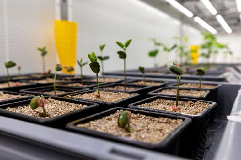 Micropep lève dix millions d'euros supplémentaires pour compléter sa série B