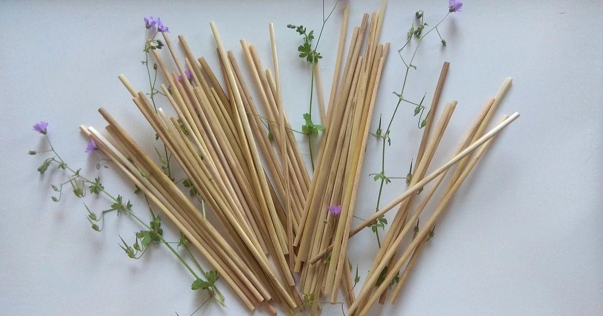 La Paille d’O, retour sur le succès des pailles à boire en seigle