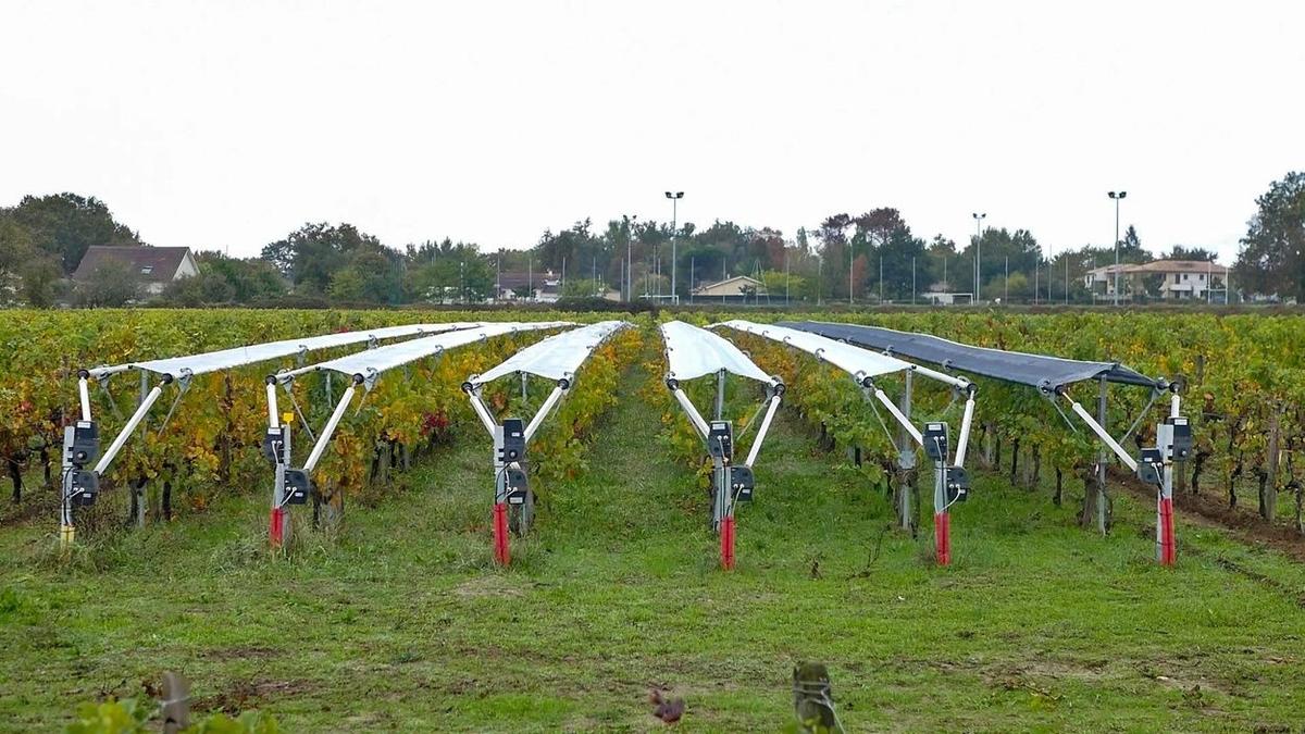 Viti-Tunnel lève 2 millions d'euros pour révolutionner la protection des vignes