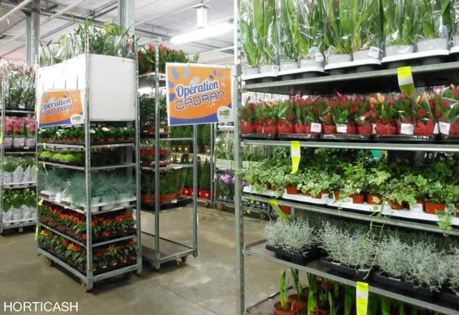 Renaud Distribution s’empare d’Horticash pour dominer le marché floral français