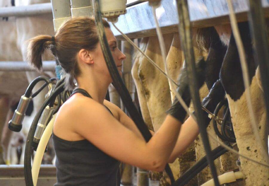 J’achète Fermier lève 3,1 millions d’euros pour accélérer sa croissance et installer une dizaine d’usines supplémentaires