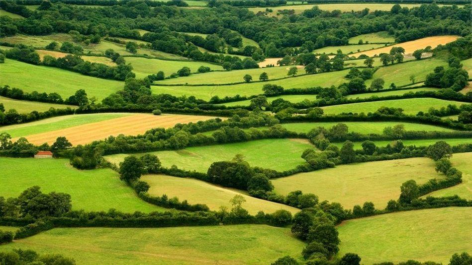 Engie s’engage à soutenir le "Label Haie"