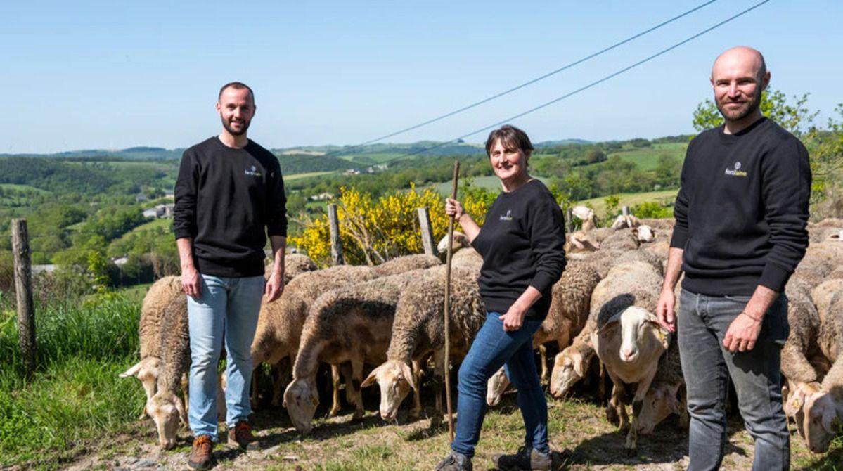 QVEMA : Fertilaine, l’engrais naturel révolutionnaire à base de laine